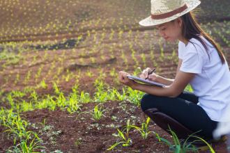 A person studying seedlings growing in a field