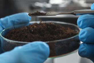 A petri dish full of soil being sampled by a researcher